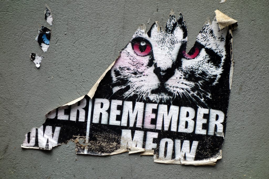 Alternative Street Art Tours Cologne- MEOW