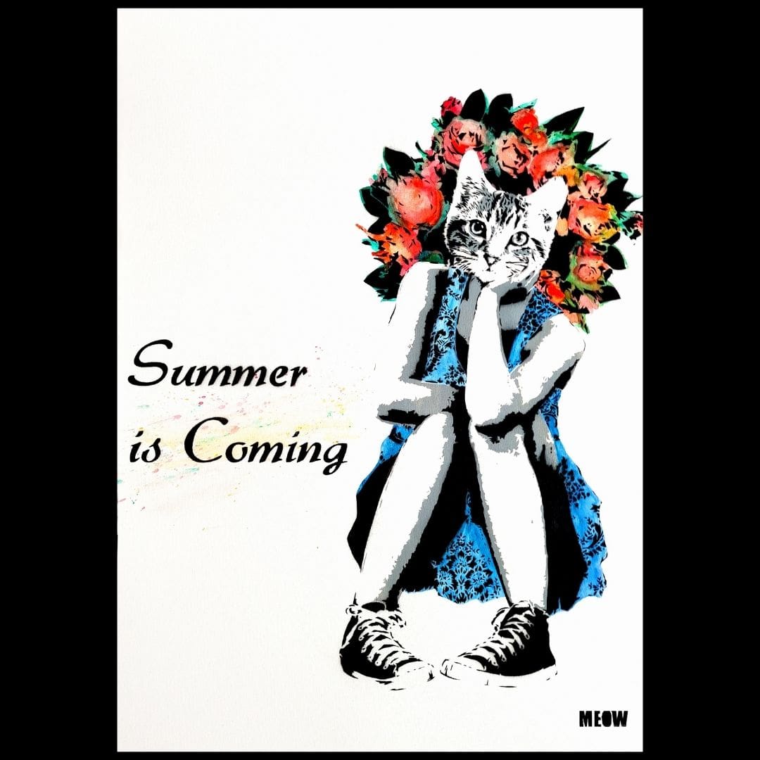 Summer is Coming by MEOW
